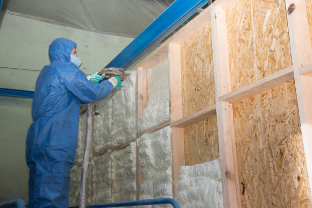 Best Cellulose Insulation  in Choctaw, OK